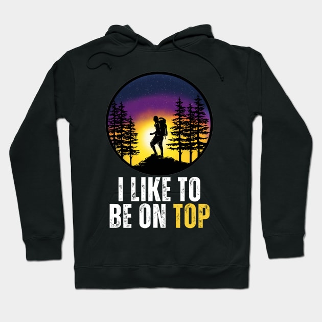 I Like To Be On Top Hoodie by aesthetice1